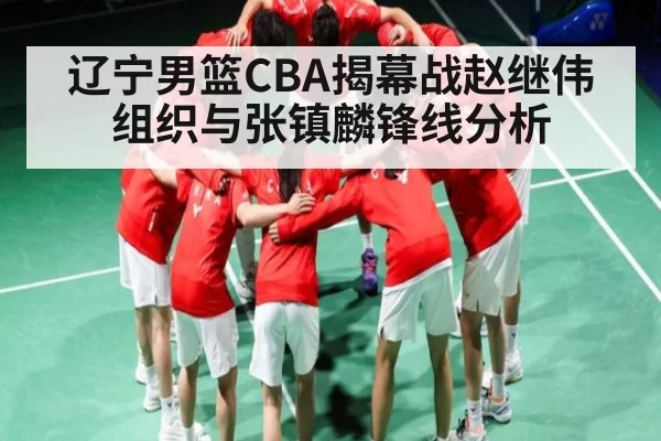 辽宁男篮CBA揭幕战赵继伟组织与张镇麟锋线分析